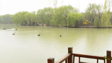 阜陽十大好玩的地方，阜陽有什么好玩的地方景點(diǎn)